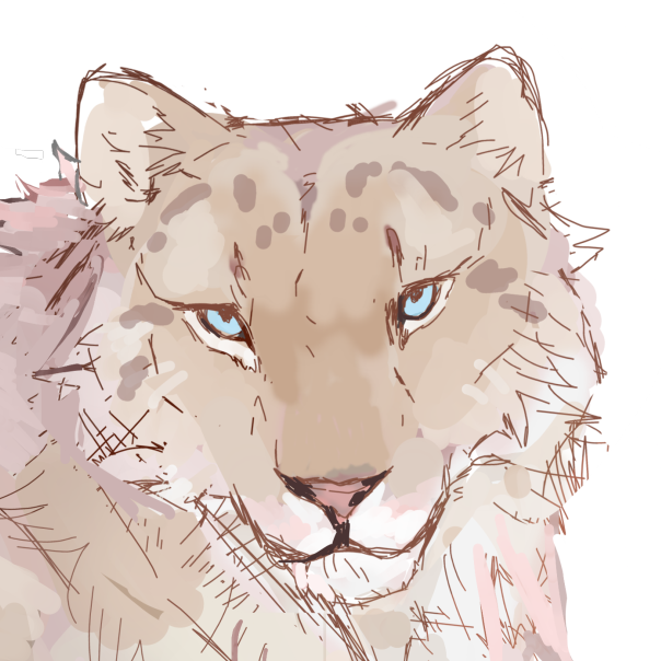 ariethefloof@arcanekittens.xyz