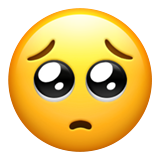 pleading_2