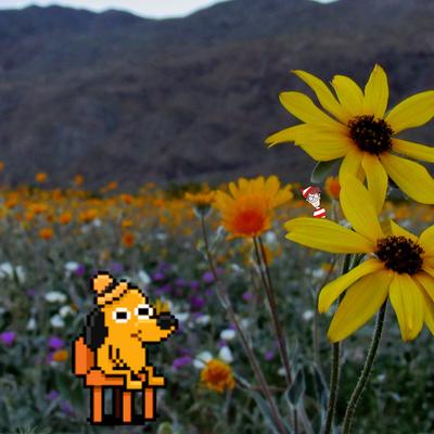 gettingcomputey@beige.party