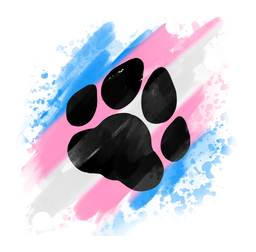 paw_transgender