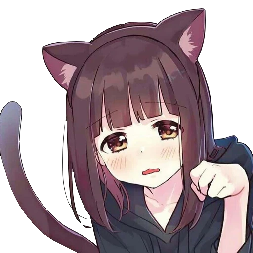 lunya@sk.lunya.pet