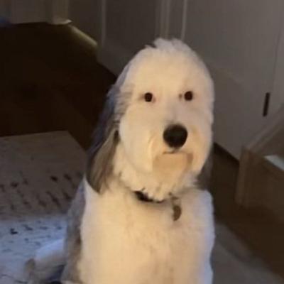 pancakesGg1@mastodon.social